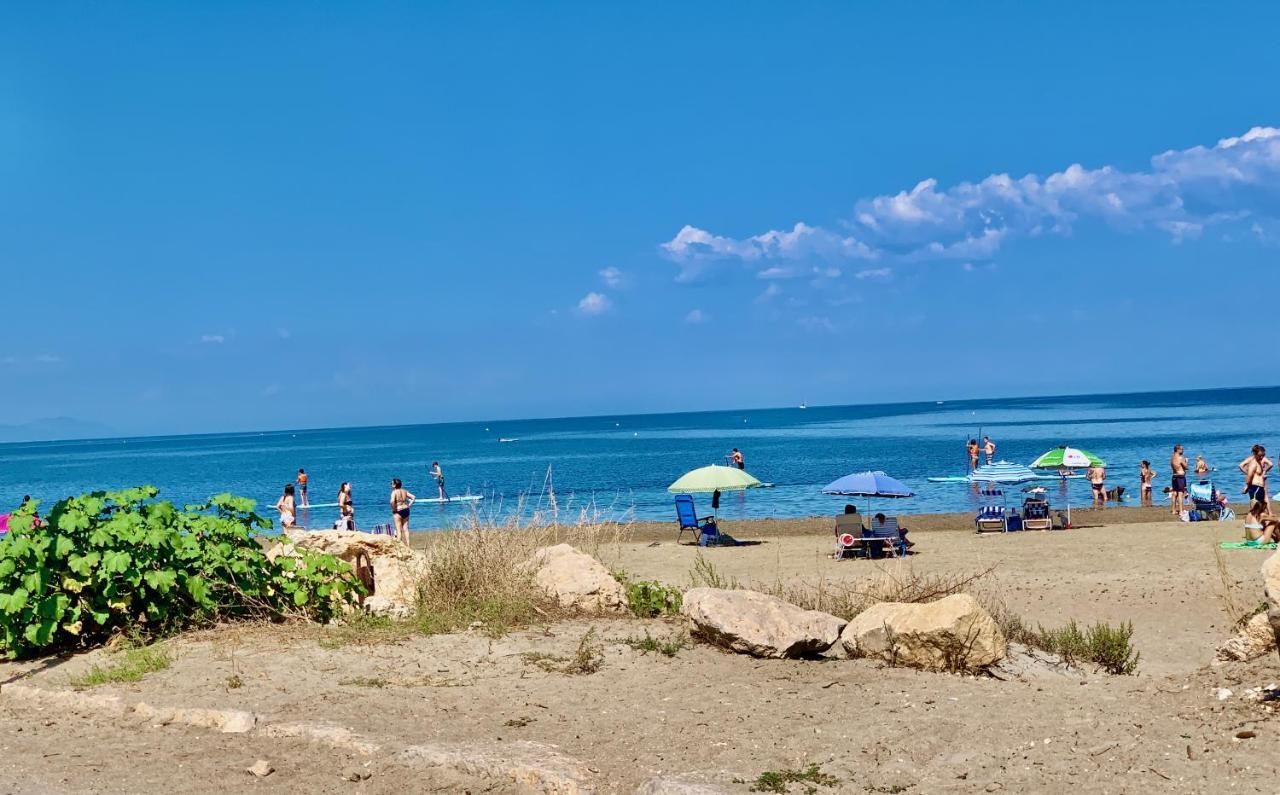 La Sirena - Both City And Beach Of דניה מראה חיצוני תמונה
